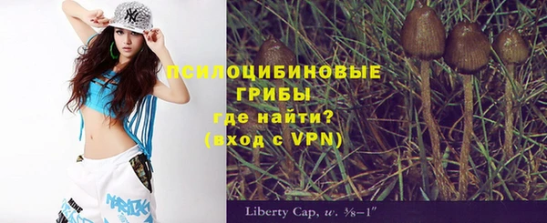 молекула духа Алексин