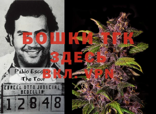 молекула духа Алексин